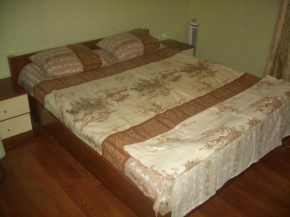 Apartment on Kuzminki, Moscow, Moscow